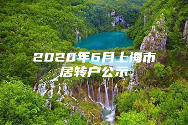 2020年6月上海市居转户公示