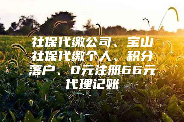 社保代缴公司、宝山社保代缴个人、积分落户、0元注册66元代理记账