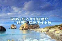 深圳在职人才引进落户“秒批”系统正式上线