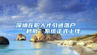 深圳在职人才引进落户“秒批”系统正式上线