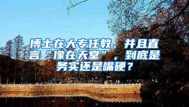 博士在大专任教，并且直言“像在天堂”，到底是务实还是嘴硬？