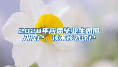 2020年应届毕业生如何入深户，该不该入深户