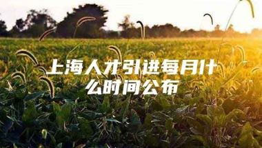 上海人才引进每月什么时间公布