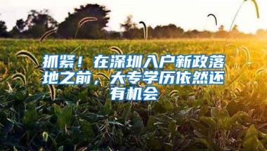 抓紧！在深圳入户新政落地之前，大专学历依然还有机会