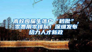 高校应届生落户“秒批”，零费用零排队！深圳发布给力人才新政