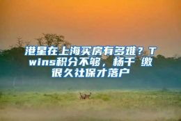 港星在上海买房有多难？Twins积分不够，杨千嬅缴很久社保才落户