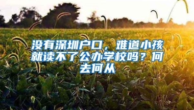 没有深圳户口，难道小孩就读不了公办学校吗？何去何从