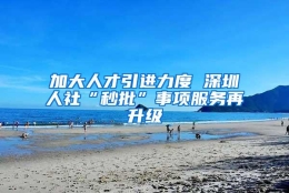 加大人才引进力度 深圳人社“秒批”事项服务再升级