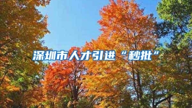 深圳市人才引进“秒批”