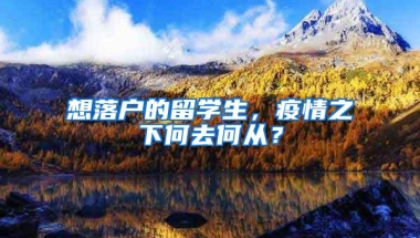 想落户的留学生，疫情之下何去何从？