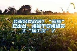 公积金要取消？“新规”已出台，相当于变相给员工“涨工资”了