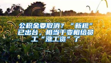 公积金要取消？“新规”已出台，相当于变相给员工“涨工资”了