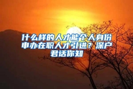 什么样的人才能个人身份申办在职人才引进？深户君话你知