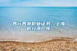 各行各类职业证书，上海积分落户等