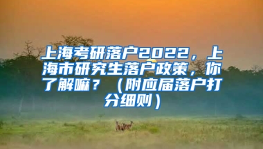 上海考研落户2022，上海市研究生落户政策，你了解嘛？（附应届落户打分细则）