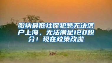 缴纳最低社保犯愁无法落户上海，无法满足120积分！现在政策改啦