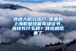 外地人积分落户 需要的上海职业技能等级证书，应该长什么样？样式规范来了→