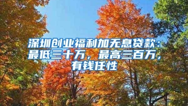 深圳创业福利加无息贷款：最低三十万，最高三百万，有钱任性