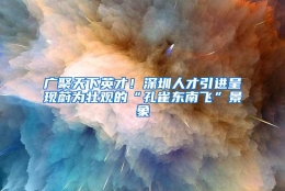 广聚天下英才！深圳人才引进呈现蔚为壮观的“孔雀东南飞”景象