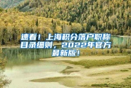 速看！上海积分落户职称目录细则，2022年官方最新版！