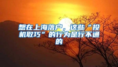 想在上海落户，这些“投机取巧”的行为是行不通的