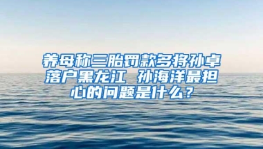 养母称三胎罚款多将孙卓落户黑龙江 孙海洋最担心的问题是什么？