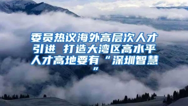 委员热议海外高层次人才引进 打造大湾区高水平人才高地要有“深圳智慧”