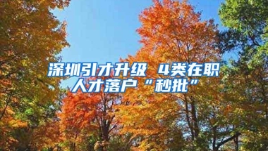 深圳引才升级 4类在职人才落户“秒批”