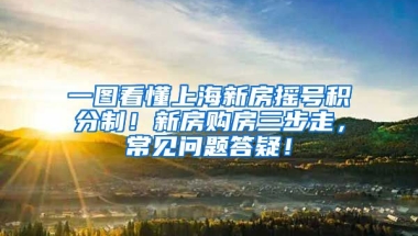 一图看懂上海新房摇号积分制！新房购房三步走，常见问题答疑！