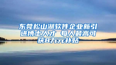 东莞松山湖软件企业新引进博士人才 每人最高可获8万元补贴