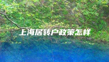 上海居转户政策怎样