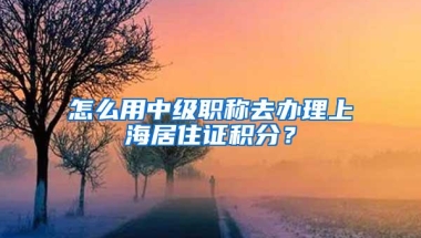 怎么用中级职称去办理上海居住证积分？