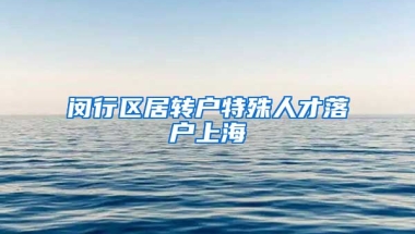 闵行区居转户特殊人才落户上海