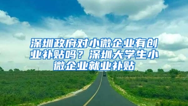 深圳政府对小微企业有创业补贴吗？深圳大学生小微企业就业补贴