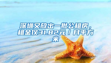 深圳又放出一批公租房，租金仅31.82元／月平方米