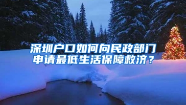 深圳户口如何向民政部门申请最低生活保障救济？