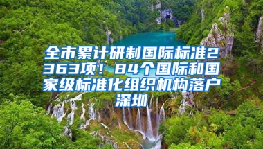 全市累计研制国际标准2363项！84个国际和国家级标准化组织机构落户深圳