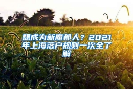 想成为新魔都人？2021年上海落户规则一次全了解