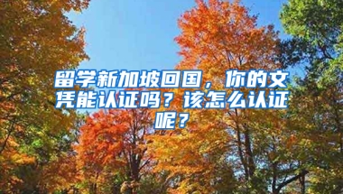 留学新加坡回国，你的文凭能认证吗？该怎么认证呢？