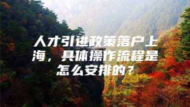 人才引进政策落户上海，具体操作流程是怎么安排的？