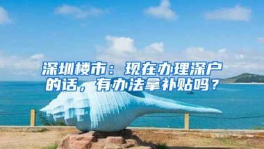 深圳楼市：现在办理深户的话，有办法拿补贴吗？