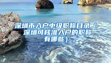 深圳市入户中级职称目录（ 深圳可核准入户的职称有哪些）