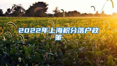 2022年上海积分落户政策