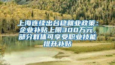 上海连续出台稳就业政策：企业补贴上限300万元，部分群体可享受职业技能提升补贴