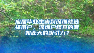 应届毕业生来到深圳就选择落户，深圳户籍真的有如此大的吸引力？