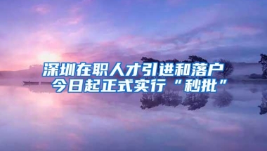 深圳在职人才引进和落户 今日起正式实行“秒批”