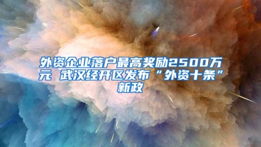 外资企业落户最高奖励2500万元 武汉经开区发布“外资十条”新政