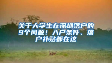 关于大学生在深圳落户的9个问题！入户条件、落户补贴都在这