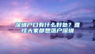 深圳户口有什么好处？难怪大家都想落户深圳