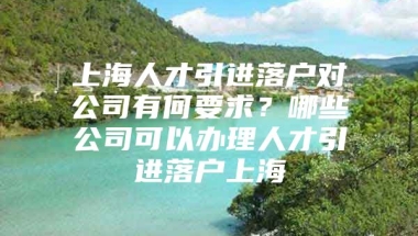 上海人才引进落户对公司有何要求？哪些公司可以办理人才引进落户上海